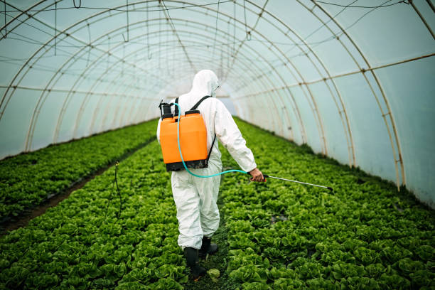 Best Pest Inspection Near Me  in Roseland, NJ