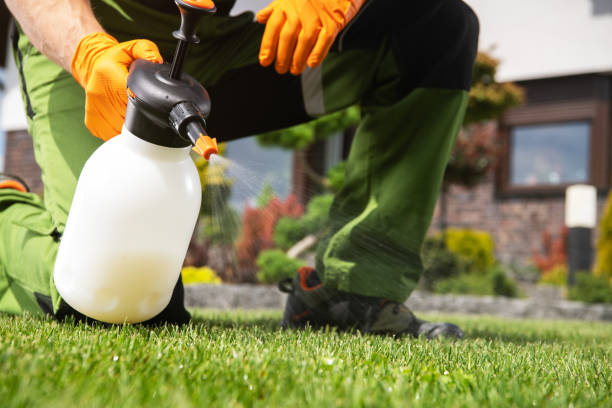 Best Mosquito Control Services  in Roseland, NJ