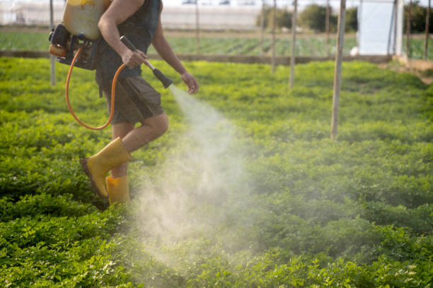 Best Affordable Pest Control Services  in Roseland, NJ