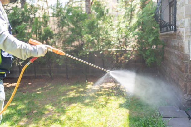 Best Termite Control Services  in Roseland, NJ