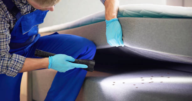 Best Cockroach Control Services  in Roseland, NJ