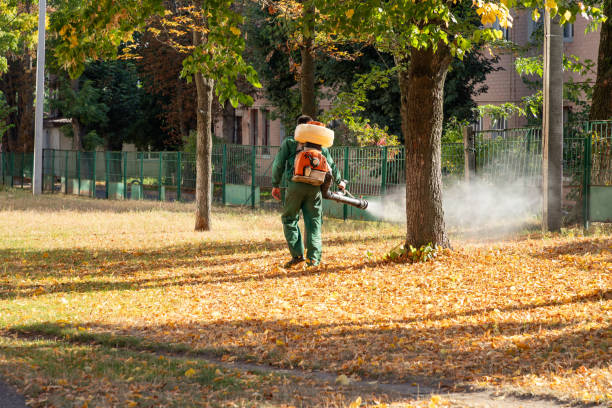 Best Spider Control Near Me  in Roseland, NJ