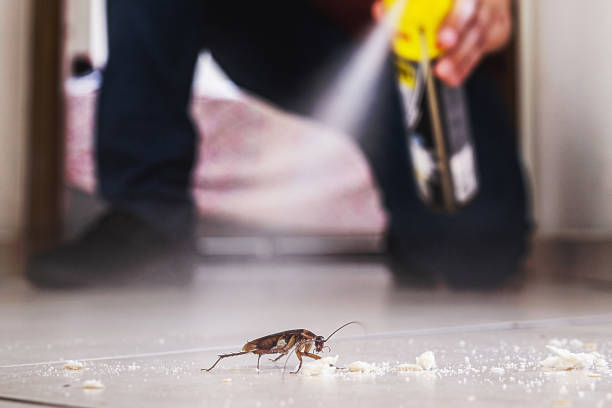 Best Pest Control for Homes  in Roseland, NJ