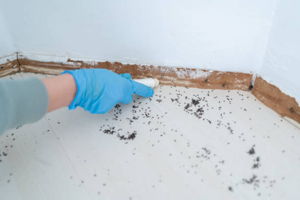 Best Residential Pest Control  in Roseland, NJ
