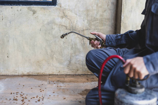 Best Exterminator Services  in Roseland, NJ