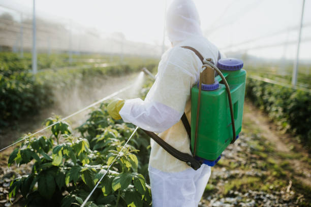 Best Ant Control Services  in Roseland, NJ